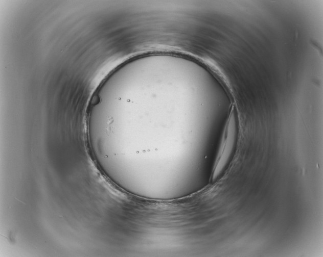 X0000102231287200808151720