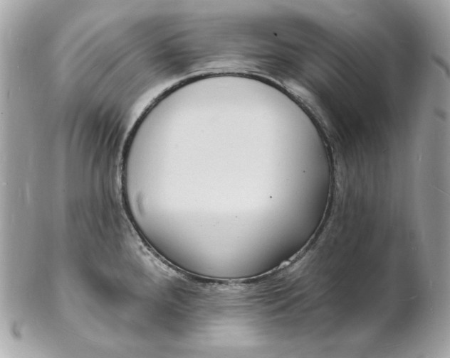 X0000102231288200808151720