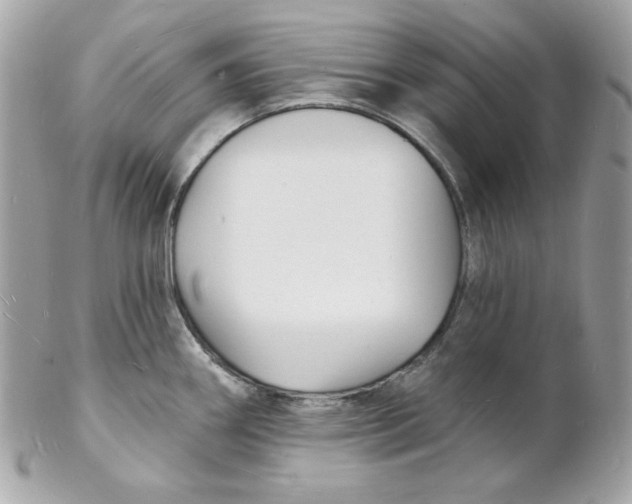 X0000102231290200808151720