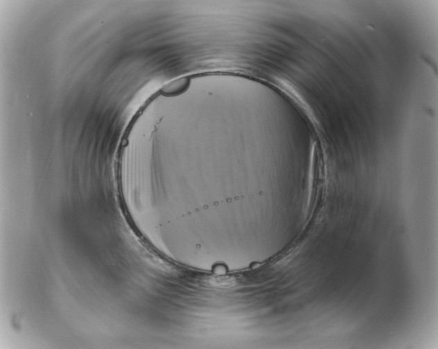 X0000102231291200808151720