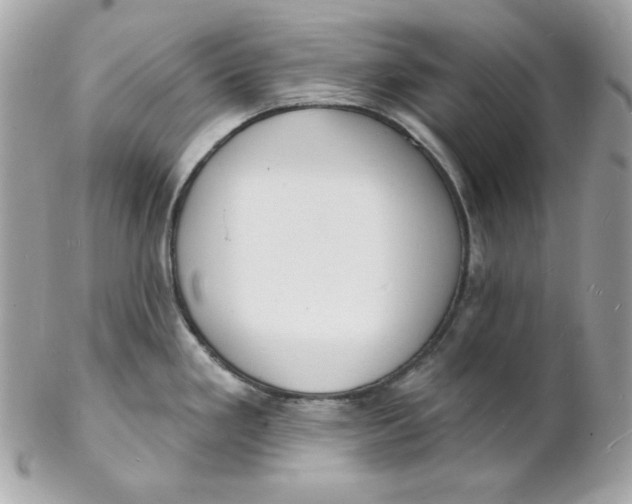 X0000102231293200808151720