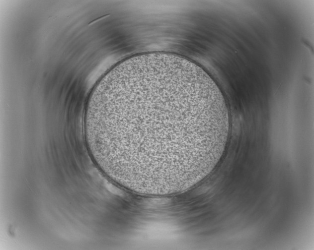 X0000102231294200808151720