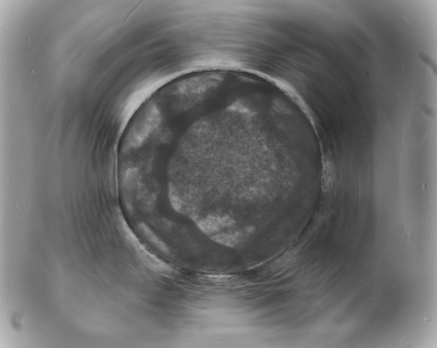 X0000102231295200808151720