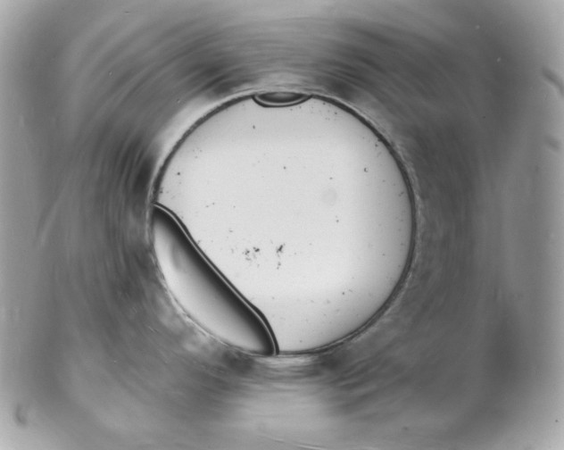 X0000102231296200808151720