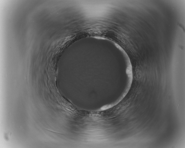 X0000102231297200808151719
