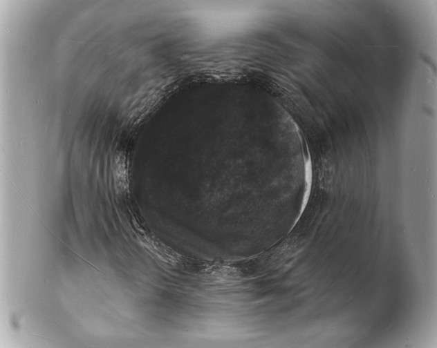 X0000102231298200808151719