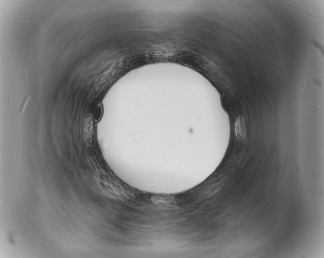 X0000102231299200808151719