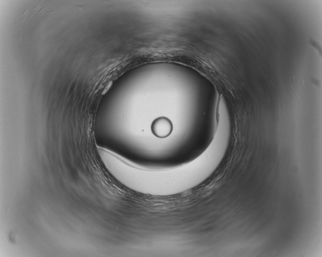 X0000102231300200808151719