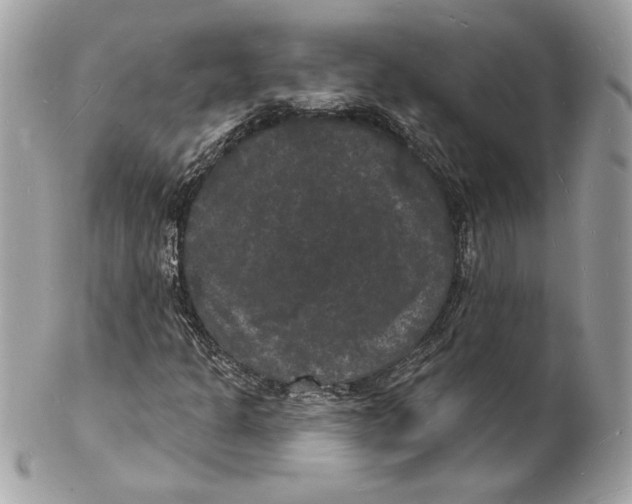 X0000102231301200808151719