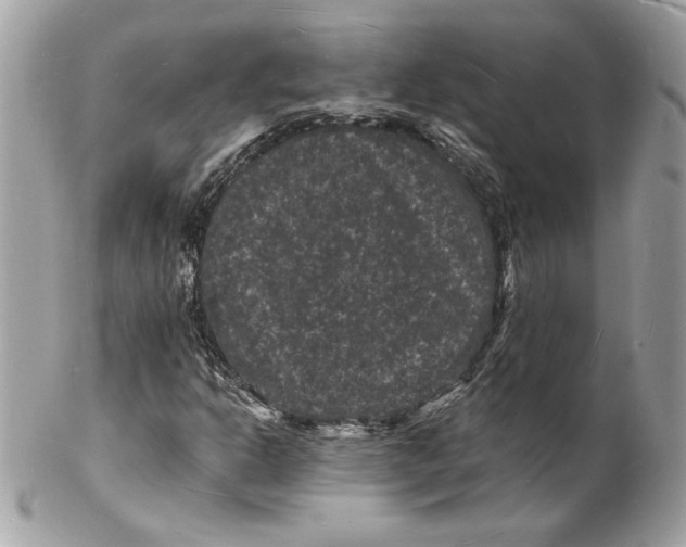 X0000102231302200808151719