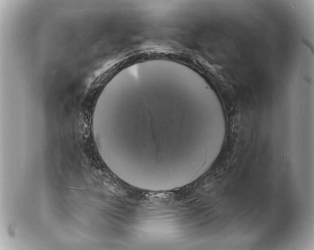 X0000102231303200808151720