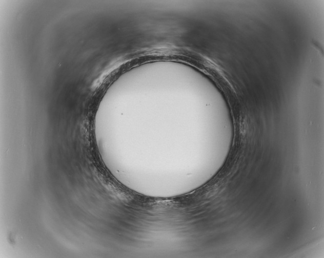 X0000102231304200808151720