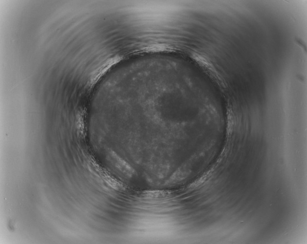 X0000102231305200808151720