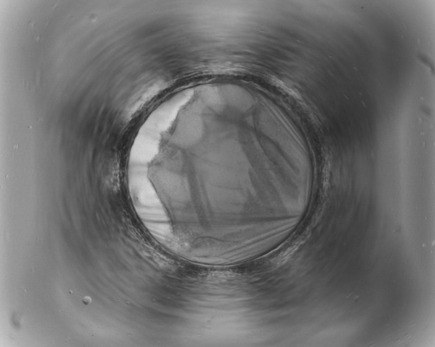 X0000102231306200808151720