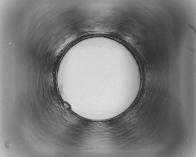 X0000102231307200808151720
