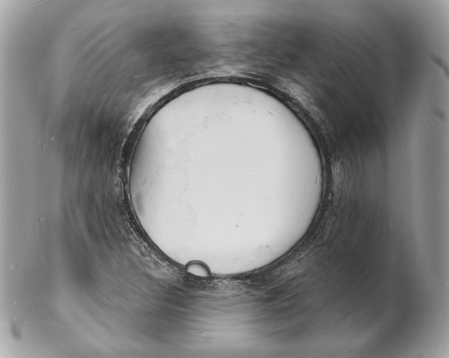 X0000102231308200808151720