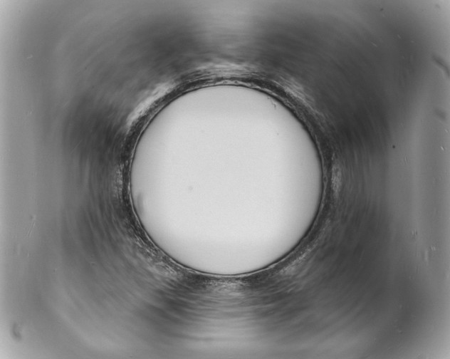X0000102231309200808151720