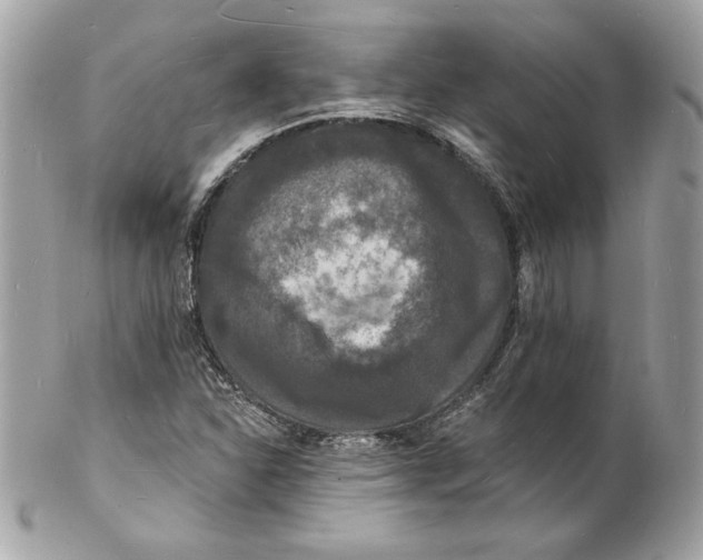 X0000102231310200808151720