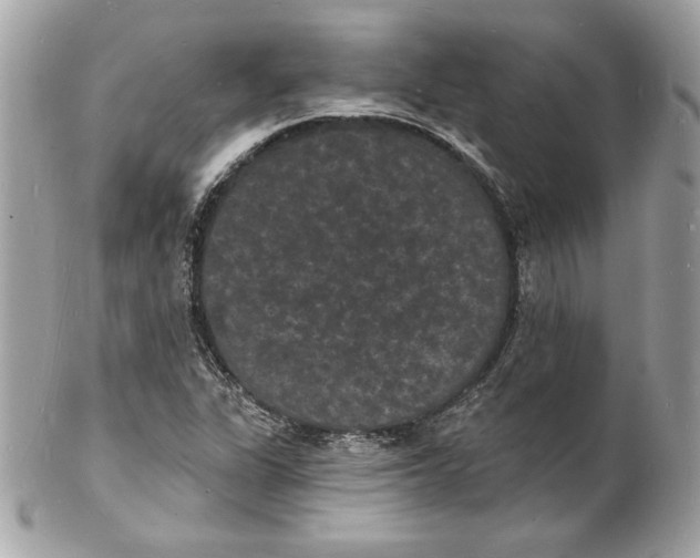 X0000102231311200808151720