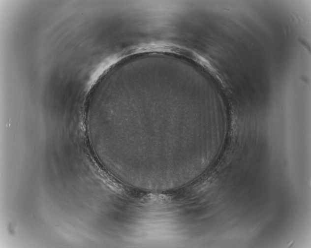 X0000102231312200808151720