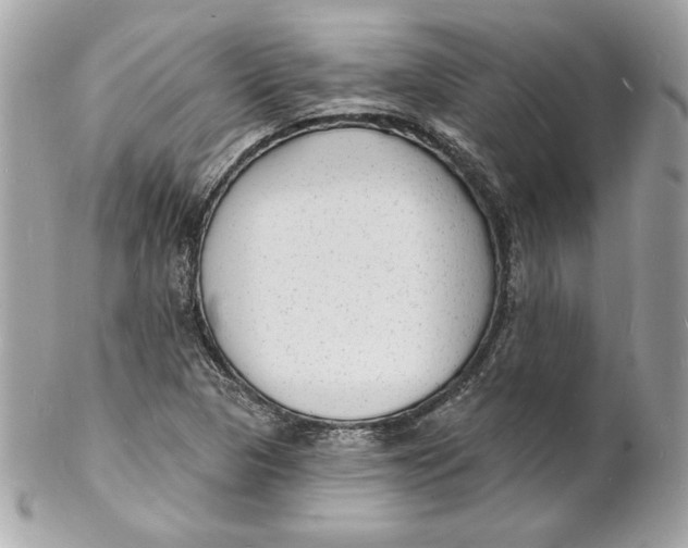 X0000102231313200808151720