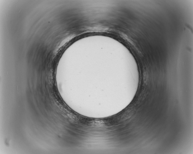 X0000102231315200808151720