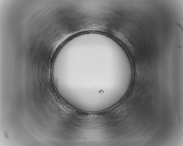 X0000102231316200808151720