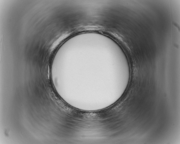 X0000102231317200808151720