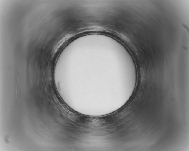 X0000102231318200808151720