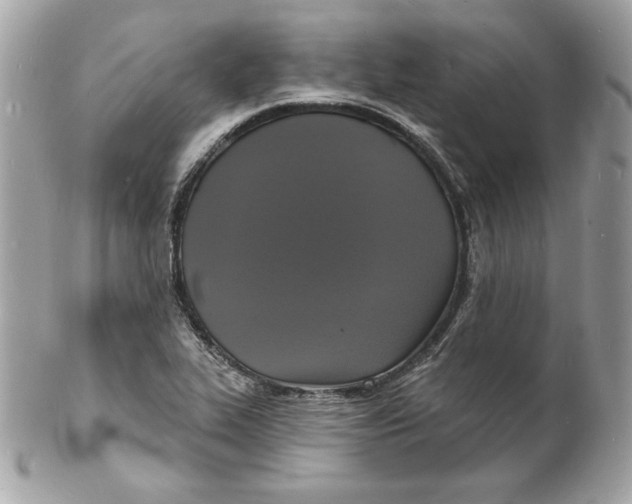 X0000102231319200808151720