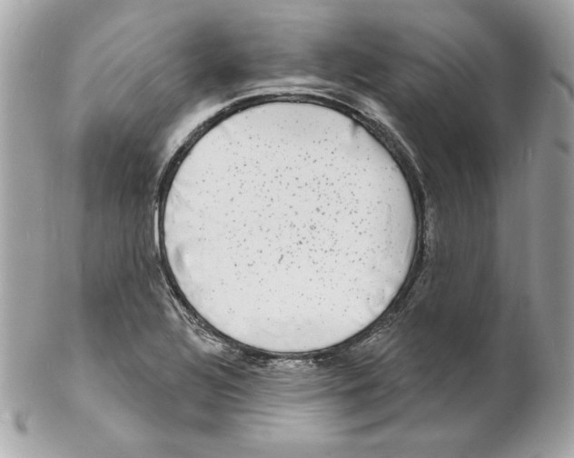 X0000102231320200808151720