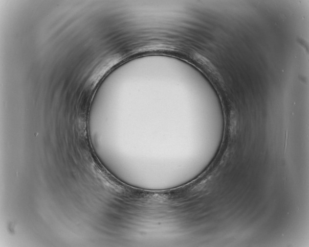 X0000102231321200808151720