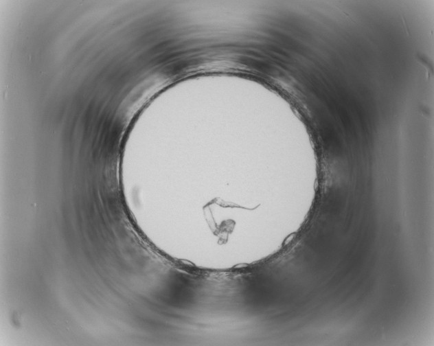 X0000102231322200808151720