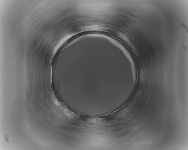 X0000102231323200808151720