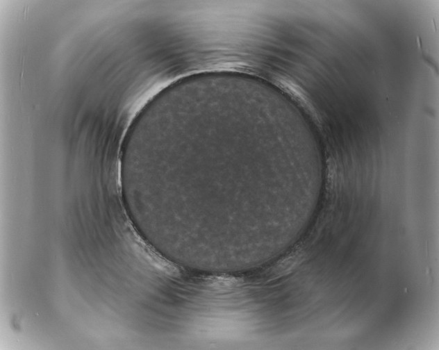 X0000102231324200808151720