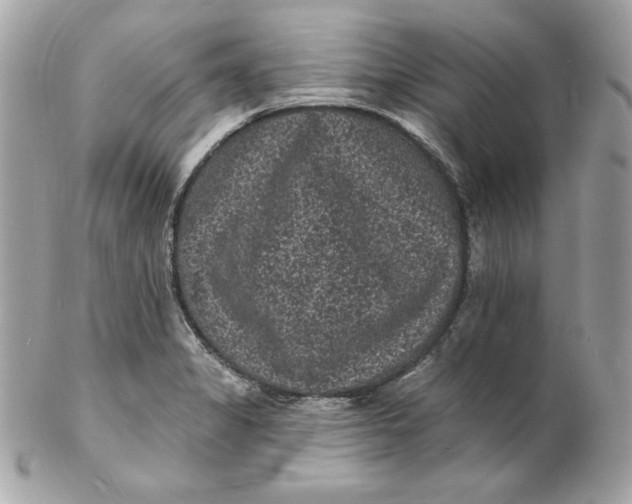 X0000102231325200808151720