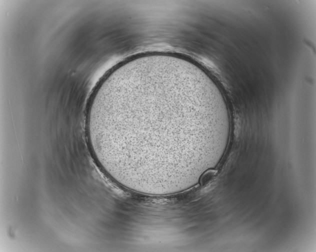 X0000102231326200808151720
