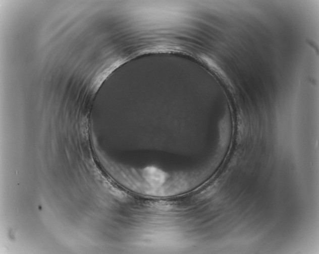 X0000102231329200808151720