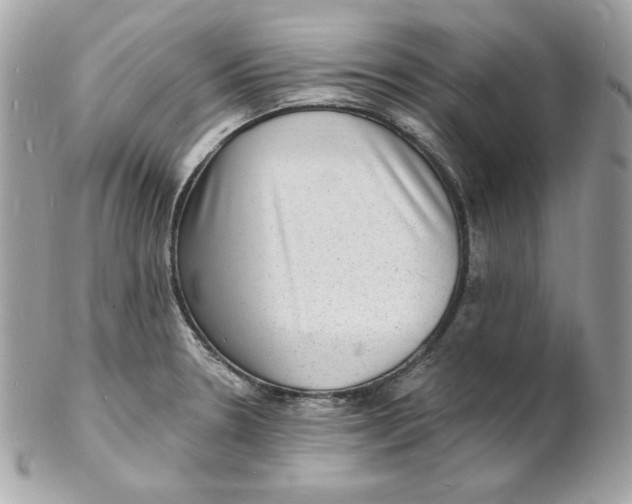 X0000102231330200808151720
