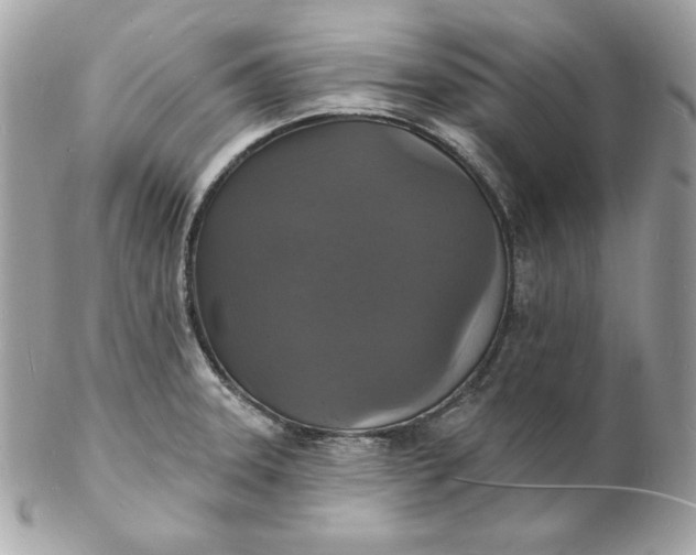 X0000102231331200808151720