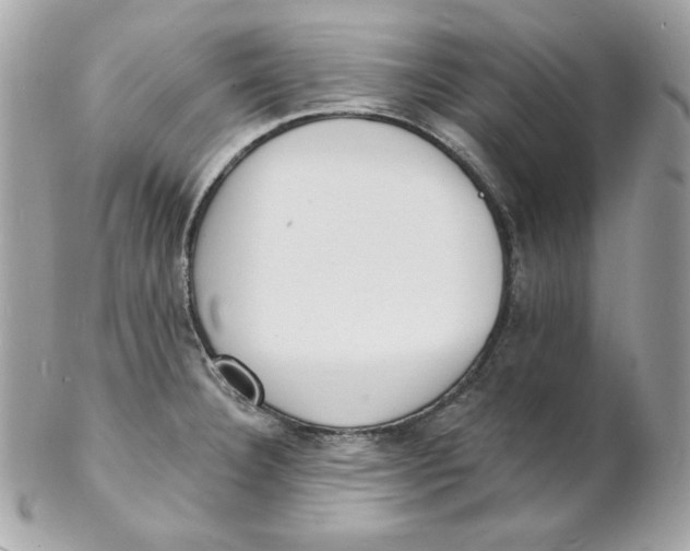 X0000102231332200808151720