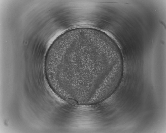X0000102231333200808151720