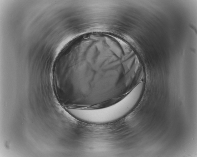 X0000102231334200808151720
