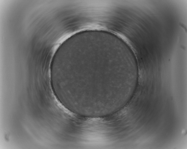 X0000102231335200808151720
