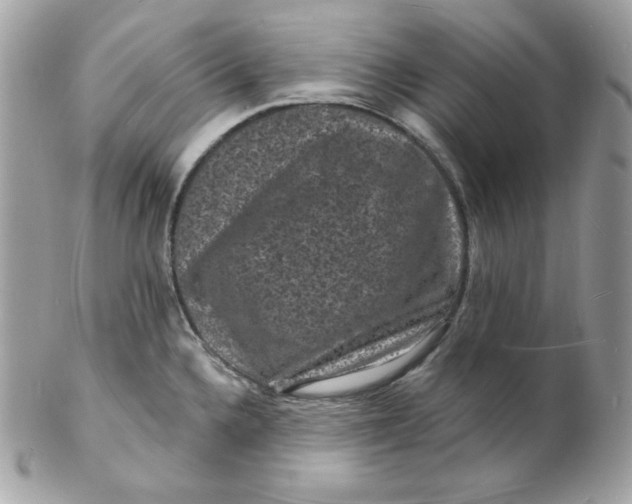 X0000102231336200808151720