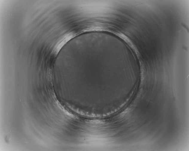 X0000102231337200808151720
