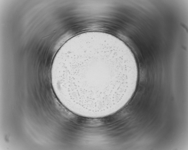 X0000102231338200808151720