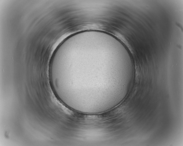 X0000102231339200808151720