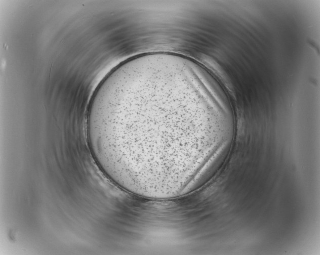 X0000102231340200808151720