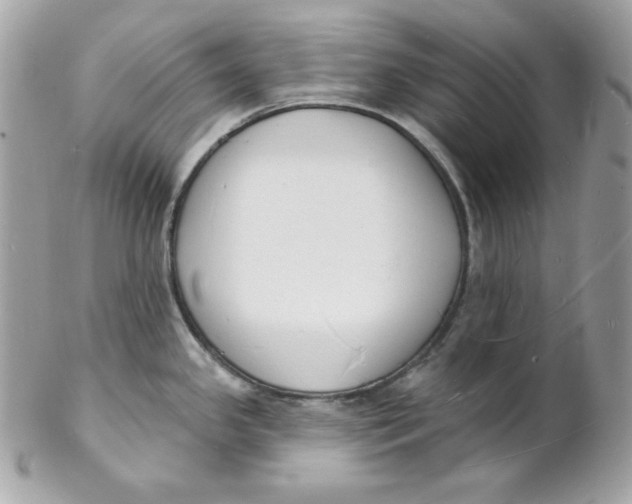 X0000102231341200808151720
